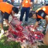 JEJAK USAHAWAN KUANTAN 6/9/2014